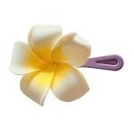 EnLazame Clip Color Plumeria