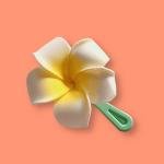 EnLazame Clip Color Plumeria