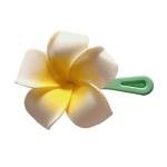 EnLazame Clip Color Plumeria