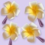 EnLazame Clip Color Plumeria