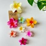 EnLazame Gancho Frangipani Chico