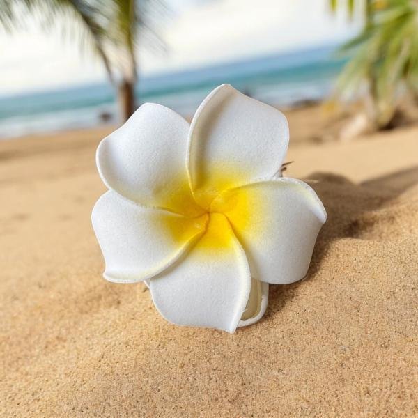 EnLazame Plumeria Hair Clip -Gancho