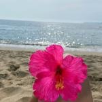 Hibiscus Poliéster Gancho