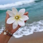 Peineta Plumeria Rubra