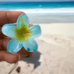 EnLazame Gancho Frangipani Mini