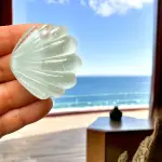 EnLazame Shell Clip